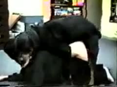Athletic red-haired Polish beauty gives a blowjob to her dog